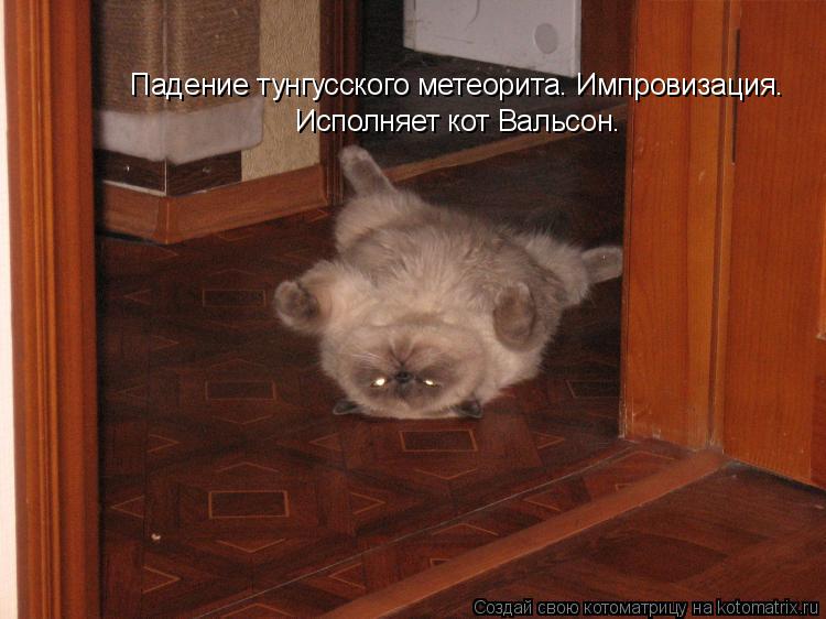 Падение тунгусского метеорита. Импровизация. Исполняет кот Вальсон.... Котоматрица: Падение тунгусского метеорита. Импровизация. Исполняет кот Вальсон.