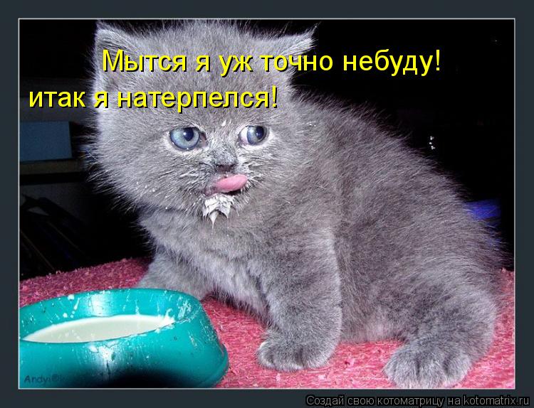 Мытся я уж точно небуду! итак я натерпелся!... Котоматрица: Мытся я уж точно небуду! итак я натерпелся!
