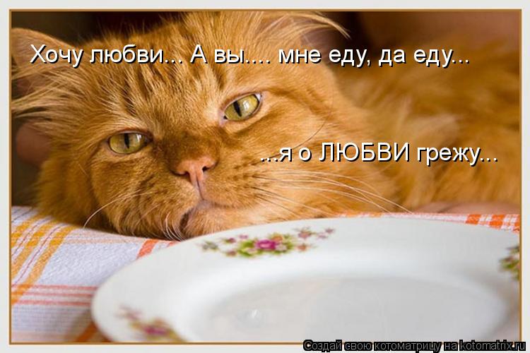 Хочу любви... А вы.... мне еду, да еду... ...я о ЛЮБВИ грежу...... Котоматрица: Хочу любви... А вы.... мне еду, да еду... ...я о ЛЮБВИ грежу...