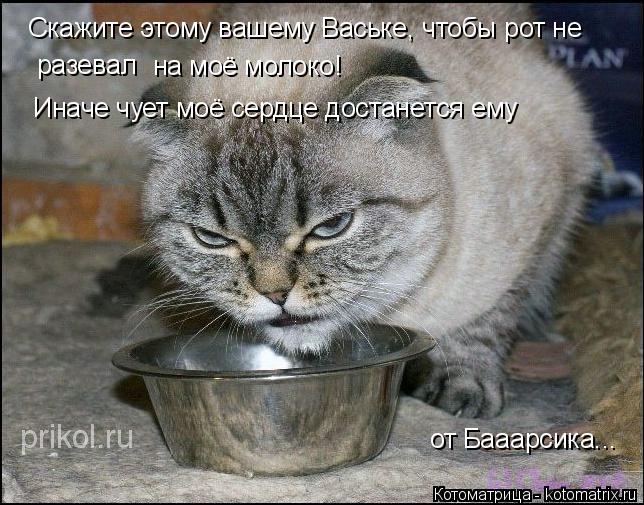 Скажите этому вашему Ваське, чтобы рот не разевал на моё молоко! Иначе чует моё сердце достанется ем... Котоматрица: Скажите этому вашему Ваське, чтобы рот не разевал на моё молоко! Иначе чует моё сердце достанется ему от Бааарсика...