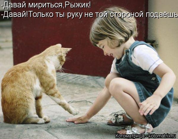 Котоматрица: -Давай мириться,Рыжик! -Давай!Только ты руку не той стороной подаёшь!