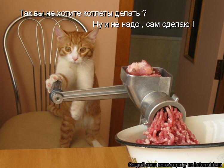 Так вы не хотите котлеты делать ? Ну и не надо , сам сделаю !... Котоматрица: Так вы не хотите котлеты делать ? Ну и не надо , сам сделаю !