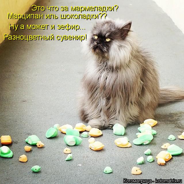 Это что за мармеладки? Марципан иль шоколадки?? Ну а может и зефир... Разноцветный сувенир!... Котоматрица: Это что за мармеладки? Марципан иль шоколадки?? Ну а может и зефир... Разноцветный сувенир!
