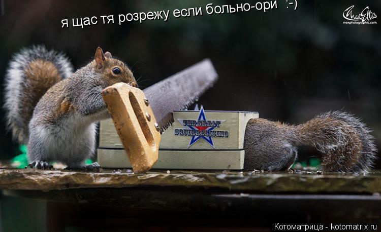 Котоматрица: я щас тя розрежу если больно-ори  :-)