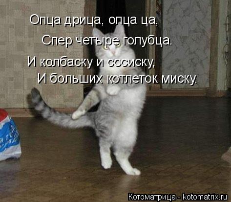 Опца дрица, опца ца, Спер четыре голубца. И колбаску и сосиску, И больших котлеток миску.... Котоматрица: Опца дрица, опца ца, Спер четыре голубца. И колбаску и сосиску, И больших котлеток миску.
