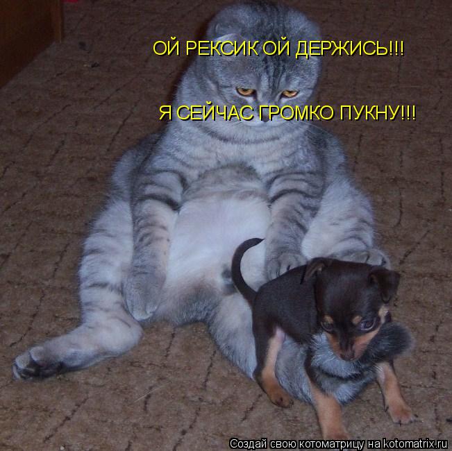 ОЙ РЕКСИК ОЙ ДЕРЖИСЬ!!! Я СЕЙЧАС ГРОМКО ПУКНУ!!!... Котоматрица: ОЙ РЕКСИК ОЙ ДЕРЖИСЬ!!! Я СЕЙЧАС ГРОМКО ПУКНУ!!!