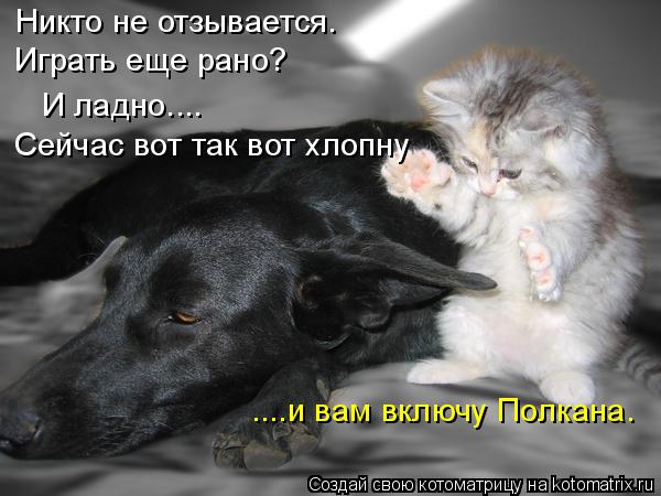 ....и вам включу Полкана. Никто не отзывается. Играть еще рано? И ладно.... Сейчас вот так вот хлопну... Котоматрица: ....и вам включу Полкана. Никто не отзывается. Играть еще рано? И ладно.... Сейчас вот так вот хлопну