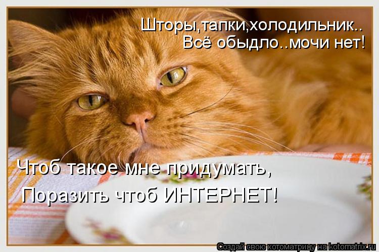 Котоматрица: Шторы,тапки,холодильник.. Всё обыдло..мочи нет! Чтоб такое мне придумать, Поразить чтоб ИНТЕРНЕТ!