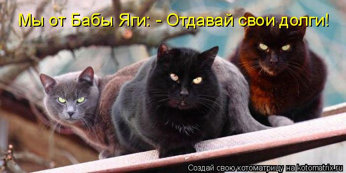 Мы от Бабы Яги: - Отдавай свои долги!... Котоматрица: Мы от Бабы Яги: - Отдавай свои долги!