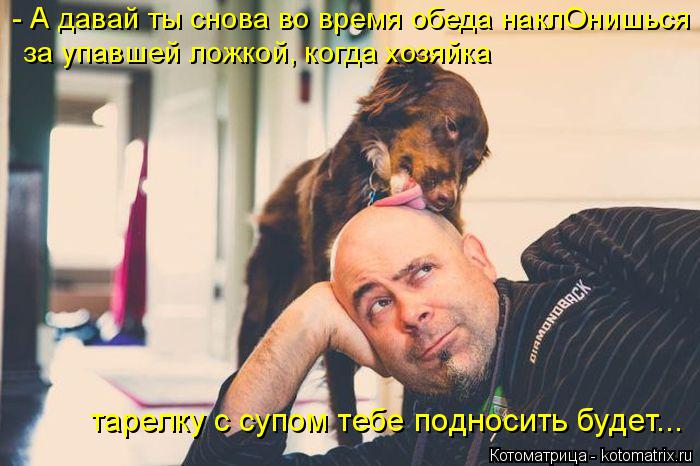 за упавшей ложкой, когда хозяйка тарелку с супом тебе подносить будет... - А давай ты снова во время ... Котоматрица: за упавшей ложкой, когда хозяйка тарелку с супом тебе подносить будет... - А давай ты снова во время обеда наклОнишься