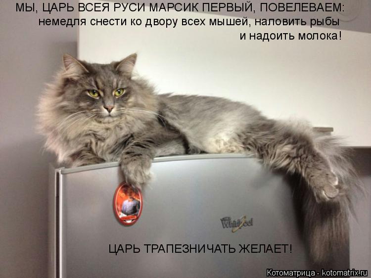 МЫ, ЦАРЬ ВСЕЯ РУСИ МАРСИК ПЕРВЫЙ, ПОВЕЛЕВАЕМ: немедля снести ко двору всех мышей, наловить рыбы и на... Котоматрица: МЫ, ЦАРЬ ВСЕЯ РУСИ МАРСИК ПЕРВЫЙ, ПОВЕЛЕВАЕМ: немедля снести ко двору всех мышей, наловить рыбы и надоить молока! ЦАРЬ ТРАПЕЗНИЧАТЬ ЖЕЛАЕТ!