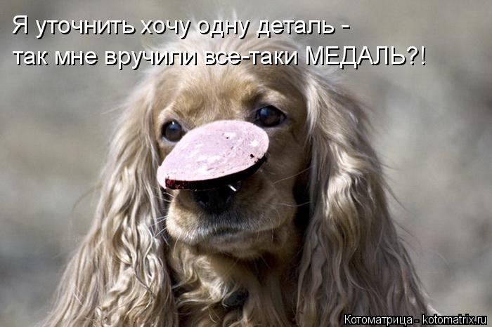 Я уточнить хочу одну деталь - так мне вручили все-таки МЕДАЛЬ?!... Котоматрица: Я уточнить хочу одну деталь - так мне вручили все-таки МЕДАЛЬ?!