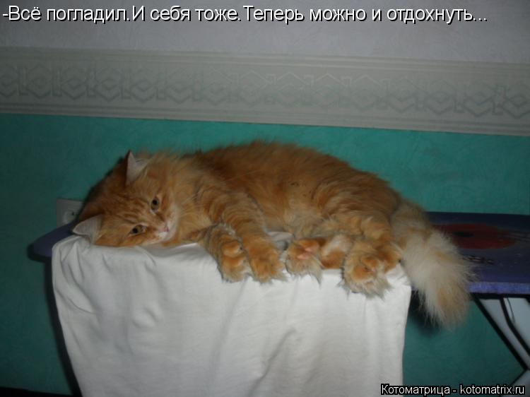-Всё погладил.И себя тоже.Теперь можно и отдохнуть...... Котоматрица: -Всё погладил.И себя тоже.Теперь можно и отдохнуть...