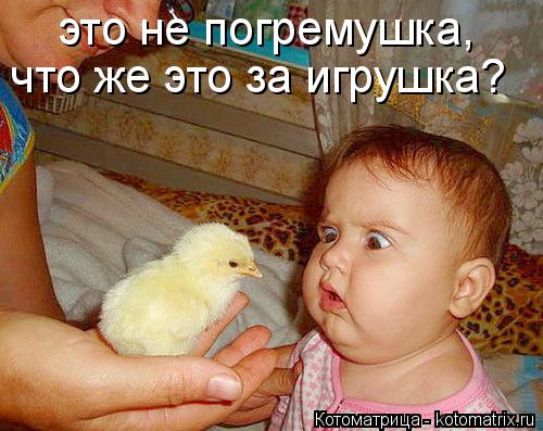 это не погремушка, что же это за игрушка?... Котоматрица: это не погремушка, что же это за игрушка?