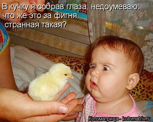 В кучку я собрав глаза, недоумеваю: странная такая? что же это за фигня... Котоматрица: В кучку я собрав глаза, недоумеваю: странная такая? что же это за фигня