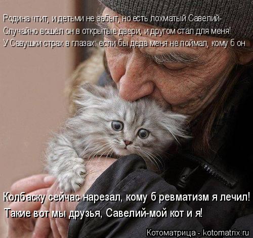 Родина чтит, и детьми не забыт, но есть лохматый Савелий- Случайно вошёл он в открытые двери, и друг... Котоматрица: Родина чтит, и детьми не забыт, но есть лохматый Савелий- Случайно вошёл он в открытые двери, и другом стал для меня! У Савушки страх в глазах
