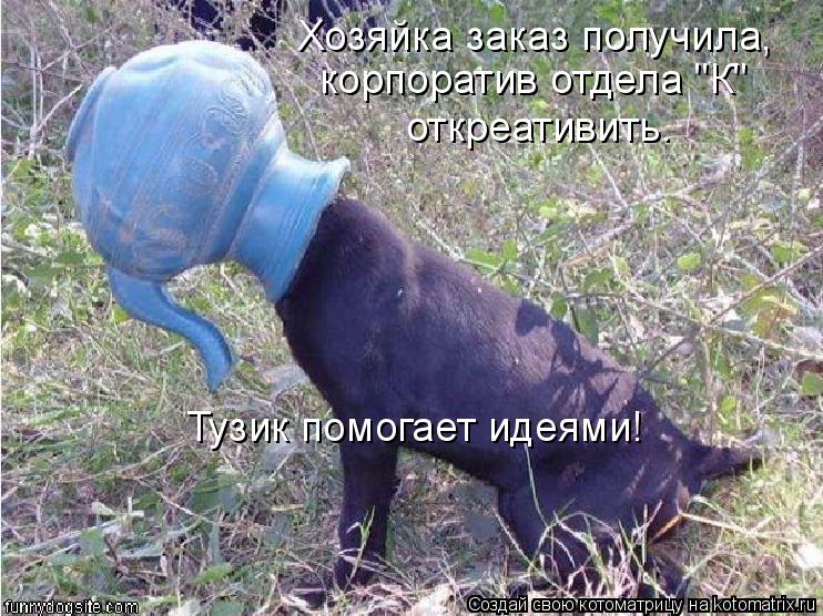 Хозяйка заказ получила, откреативить. Тузик помогает идеями! корпоратив отдела "К"... Котоматрица: Хозяйка заказ получила, откреативить. Тузик помогает идеями! корпоратив отдела "К"