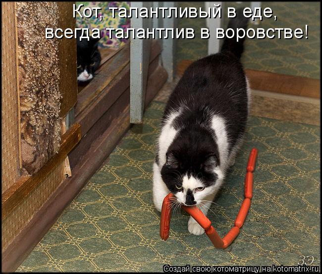 Кот, талантливый в еде, всегда талантлив в воровстве!... Котоматрица: Кот, талантливый в еде, всегда талантлив в воровстве!
