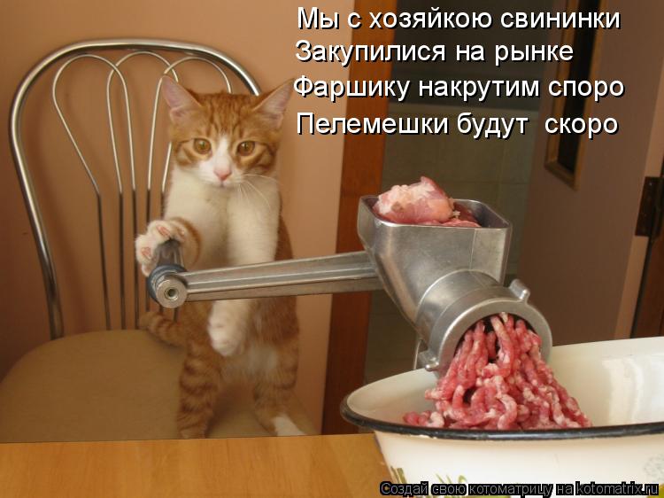 Мы с хозяйкою свининки Закупилися на рынке Фаршику накрутим споро Пелемешки будут скоро... Котоматрица: Мы с хозяйкою свининки Закупилися на рынке Фаршику накрутим споро Пелемешки будут скоро