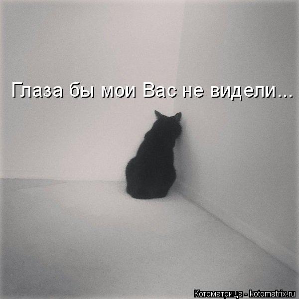 Глаза бы мои Вас не видели...... Котоматрица: Глаза бы мои Вас не видели...