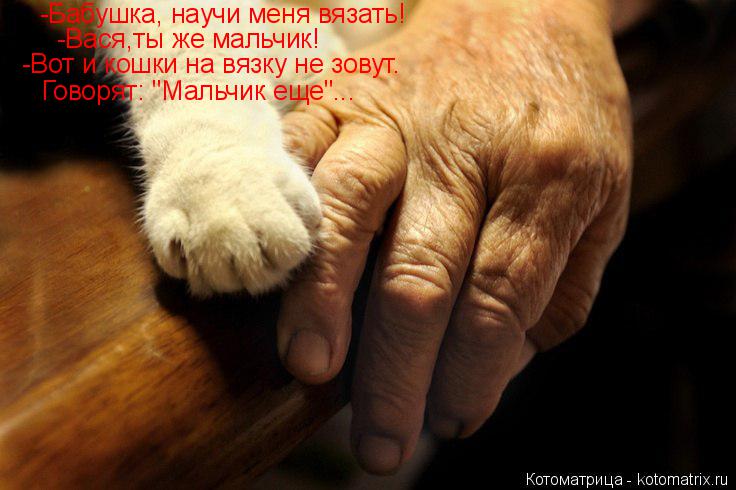 -Бабушка, научи меня вязать! -Вася,ты же мальчик! -Вот и кошки на вязку не зовут. Говорят: "Мальчик е... Котоматрица: -Бабушка, научи меня вязать! -Вася,ты же мальчик! -Вот и кошки на вязку не зовут. Говорят: "Мальчик еще"...
