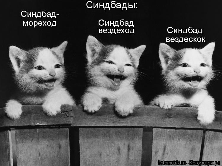 Синдбады: Синдбад- мореход Синдбад вездеход Синдбад вездескок... Котоматрица: Синдбады: Синдбад- мореход Синдбад вездеход Синдбад вездескок