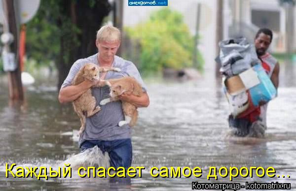 Каждый спасает самое дорогое...... Котоматрица: Каждый спасает самое дорогое...