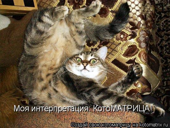 Моя интерпретация: КотоМАТРИЦА!... Котоматрица: Моя интерпретация: КотоМАТРИЦА!
