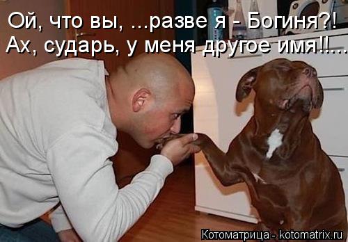Ой, что вы, ...разве я - Богиня?! Ах, сударь, у меня другое имя!!...... Котоматрица: Ой, что вы, ...разве я - Богиня?! Ах, сударь, у меня другое имя!!...