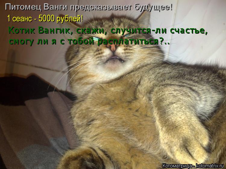 Питомец Ванги предсказывает будущее! 1 сеанс - 5000 рублей! Котик Вангик, скажи, случится-ли счастье,... Котоматрица: Питомец Ванги предсказывает будущее! 1 сеанс - 5000 рублей! Котик Вангик, скажи, случится-ли счастье, смогу ли я с тобой расплатиться?..