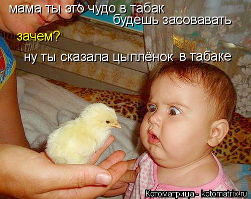 мама ты это чудо в табак будешь засовавать зачем? ну ты сказала цыплёнок в табаке... Котоматрица: мама ты это чудо в табак будешь засовавать зачем? ну ты сказала цыплёнок в табаке