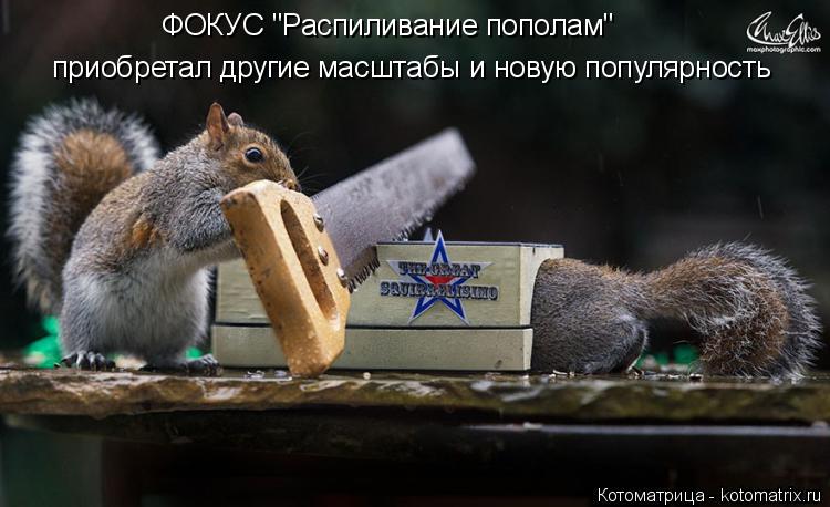 ФОКУС "Распиливание пополам" приобретал другие масштабы и новую популярность... Котоматрица: ФОКУС "Распиливание пополам" приобретал другие масштабы и новую популярность