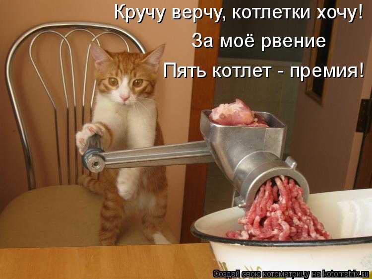 За моё рвение Пять котлет - премия! Кручу верчу, котлетки хочу!... Котоматрица: За моё рвение Пять котлет - премия! Кручу верчу, котлетки хочу!