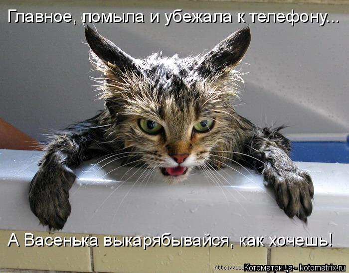 Главное, помыла и убежала к телефону... А Васенька выкарябывайся, как хочешь!... Котоматрица: Главное, помыла и убежала к телефону... А Васенька выкарябывайся, как хочешь!