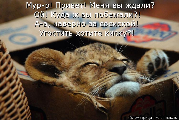 Мур-р! Привет! Меня вы ждали? Ой! Куда ж вы побежали?! А-а, наверно за сосиской! Угостить хотите киск... Котоматрица: Мур-р! Привет! Меня вы ждали? Ой! Куда ж вы побежали?! А-а, наверно за сосиской! Угостить хотите киску?!