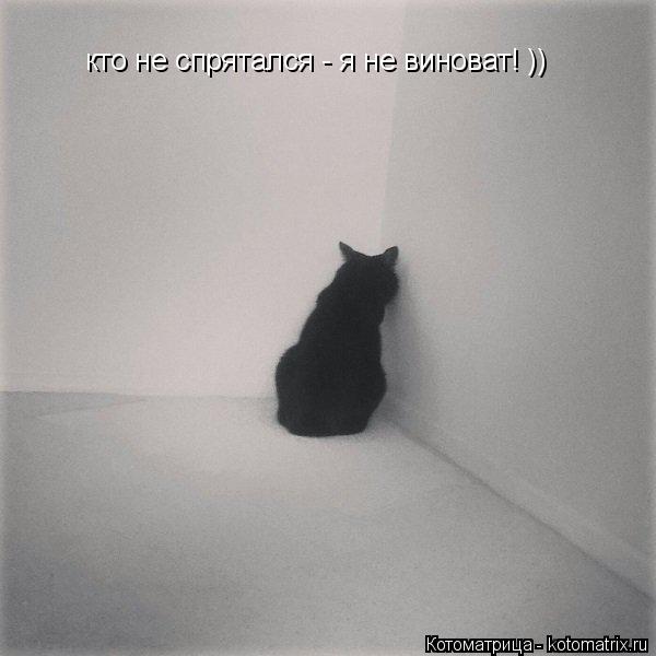 кто не спрятался - я не виноват! ))... Котоматрица: кто не спрятался - я не виноват! ))