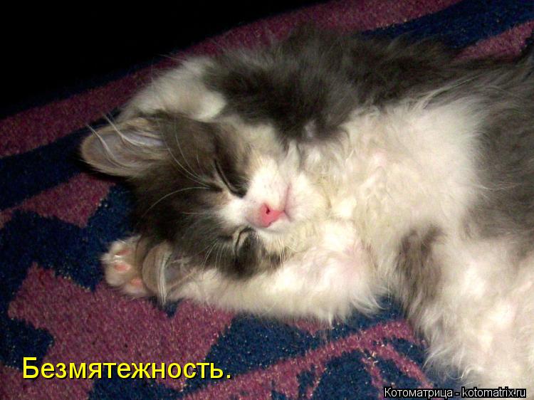 Безмятежность.... Котоматрица: Безмятежность.