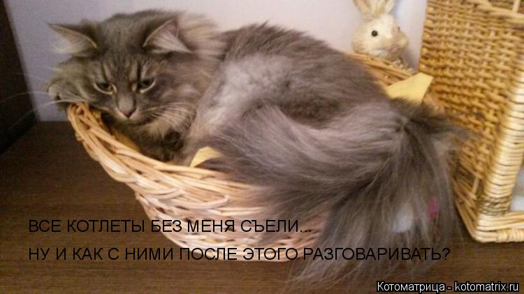 ВСЕ КОТЛЕТЫ БЕЗ МЕНЯ СЪЕЛИ... НУ И КАК С НИМИ ПОСЛЕ ЭТОГО РАЗГОВАРИВАТЬ?... Котоматрица: ВСЕ КОТЛЕТЫ БЕЗ МЕНЯ СЪЕЛИ... НУ И КАК С НИМИ ПОСЛЕ ЭТОГО РАЗГОВАРИВАТЬ?