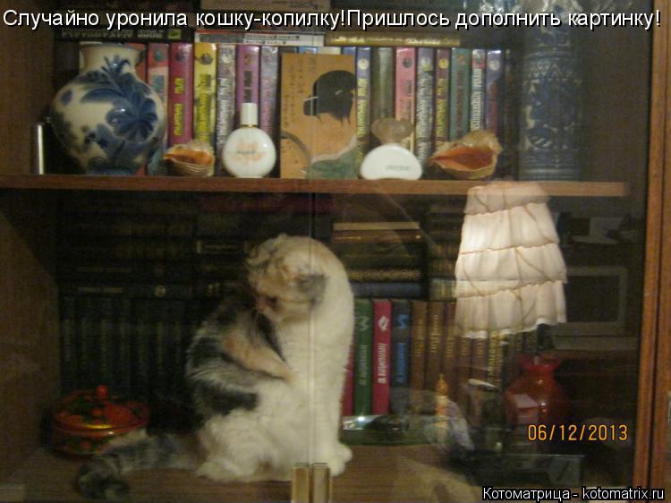 Случайно уронила кошку-копилку!Пришлось дополнить картинку!... Котоматрица: Случайно уронила кошку-копилку!Пришлось дополнить картинку!