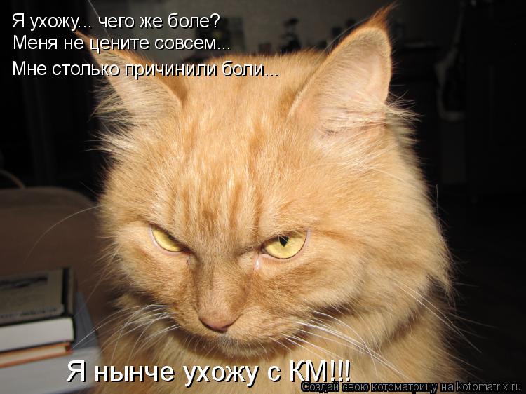 Я ухожу... чего же боле? Меня не цените совсем... Мне столько причинили боли... Я нынче ухожу с КМ!!!... Котоматрица: Я ухожу... чего же боле? Меня не цените совсем... Мне столько причинили боли... Я нынче ухожу с КМ!!!