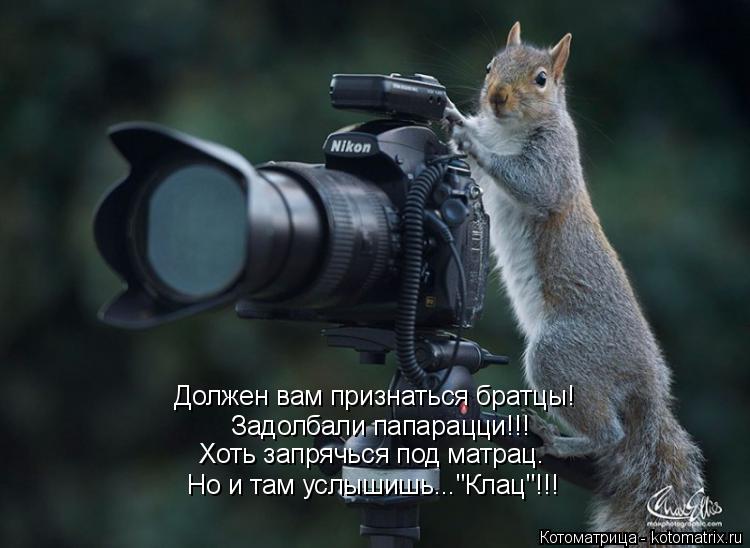 Должен вам признаться братцы! Задолбали папарацци!!! Хоть запрячься под матрац. Но и там услышишь..."... Котоматрица: Должен вам признаться братцы! Задолбали папарацци!!! Хоть запрячься под матрац. Но и там услышишь..."Клац"!!!