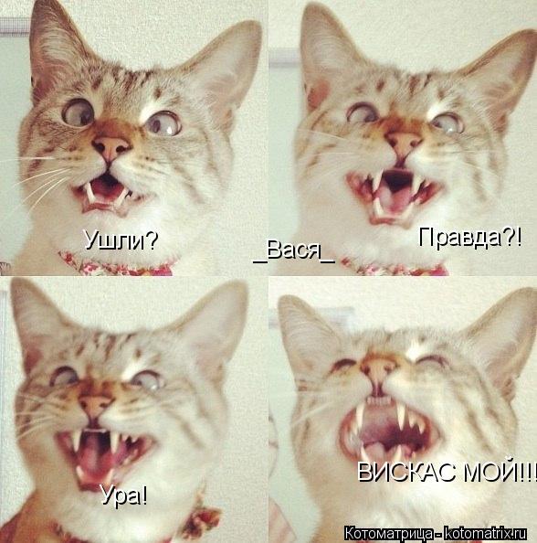 _Вася_ Ушли? Правда?! Ура! ВИСКАС МОЙ!!!... Котоматрица: _Вася_ Ушли? Правда?! Ура! ВИСКАС МОЙ!!!