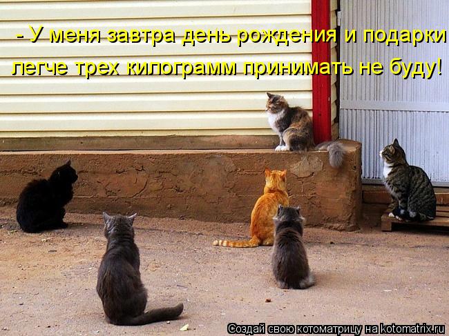 - У меня завтра день рождения и подарки легче трех килограмм принимать не буду!... Котоматрица: - У меня завтра день рождения и подарки легче трех килограмм принимать не буду!