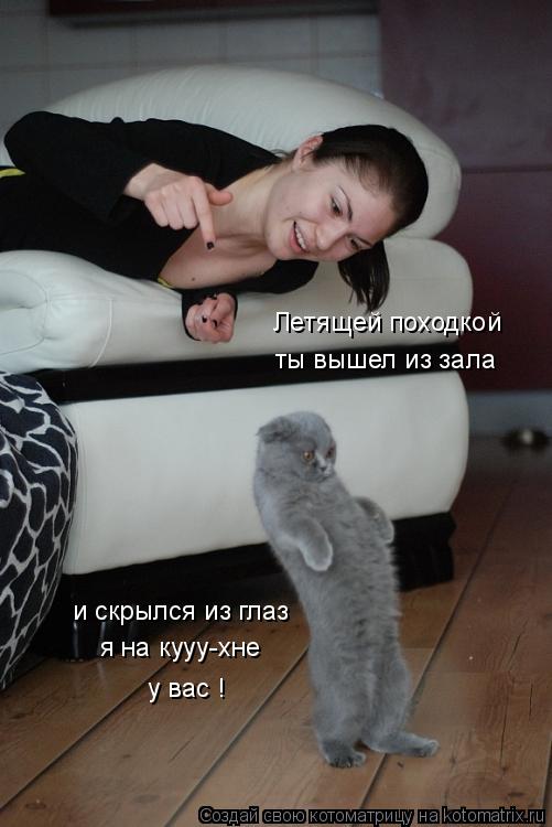 Летящей походкой ты вышел из зала и скрылся из глаз я на кууу-хне у вас !... Котоматрица: Летящей походкой ты вышел из зала и скрылся из глаз я на кууу-хне у вас !