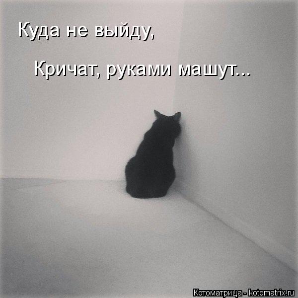 Куда не выйду, Кричат, руками машут...... Котоматрица: Куда не выйду, Кричат, руками машут...