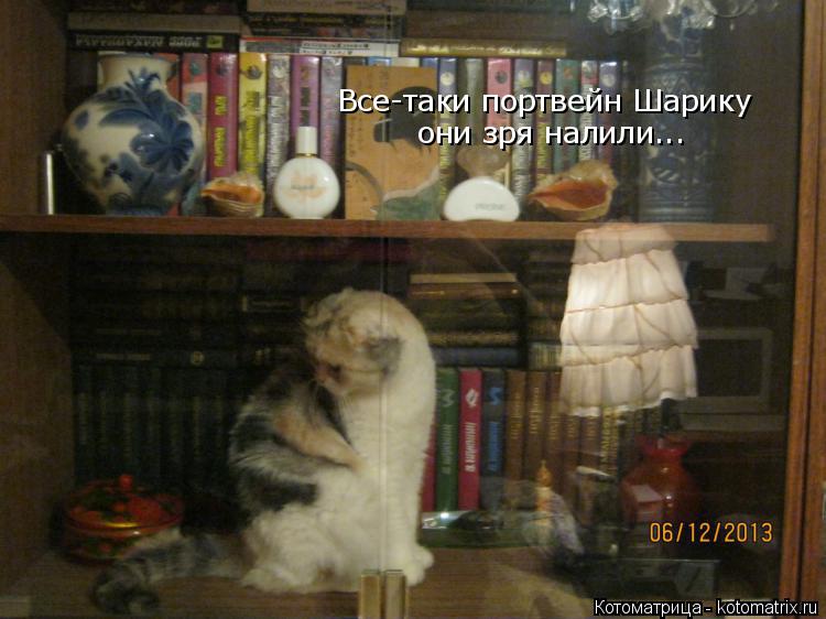 Все-таки портвейн Шарику они зря налили...... Котоматрица: Все-таки портвейн Шарику они зря налили...