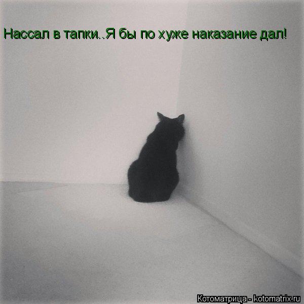 Нассал в тапки..Я бы по хуже наказание дал!... Котоматрица: Нассал в тапки..Я бы по хуже наказание дал!