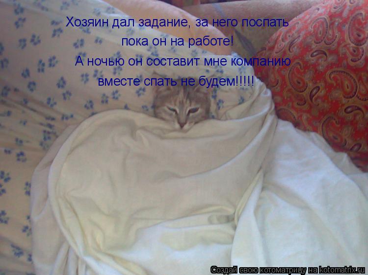 Хозяин дал задание, за него поспать пока он на работе! А ночью он составит мне компанию вместе спать ... Котоматрица: Хозяин дал задание, за него поспать пока он на работе! А ночью он составит мне компанию вместе спать не будем!!!!!