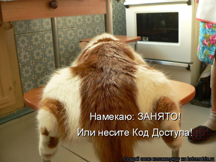 Намекаю: ЗАНЯТО! Или несите Код Доступа!... Котоматрица: Намекаю: ЗАНЯТО! Или несите Код Доступа!