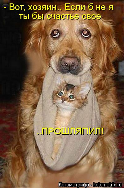 - Вот, хозяин.. Если б не я ты бы счастье свое ..ПРОШЛЯПИЛ!... Котоматрица: - Вот, хозяин.. Если б не я ты бы счастье свое ..ПРОШЛЯПИЛ!